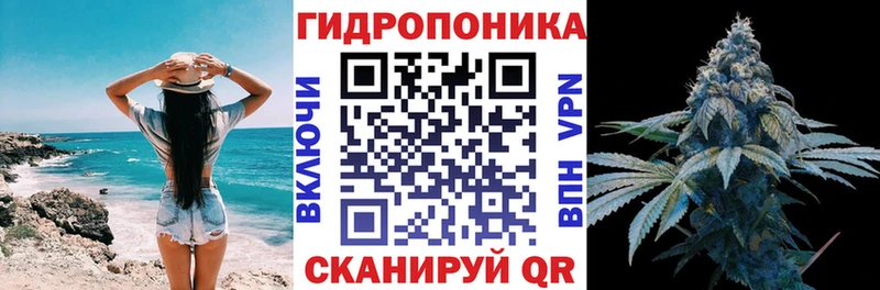 Магазины продажи наркотиков Снежинск СК  Марихуана 
