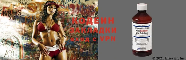 мяу мяу мука Аркадак