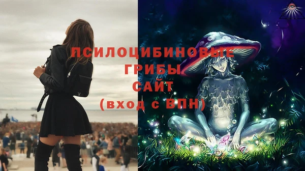 метадон Армянск