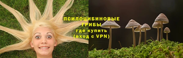метадон Армянск
